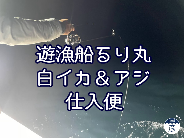 またまた遊漁船るり丸で白イカ仕入れ便