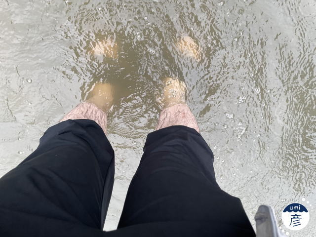 大雨で冠水したので臨時休業です