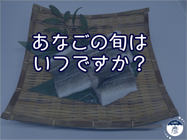 あなごの旬はいつですか？