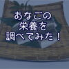 あなごに含まれている栄養を調べてみた！