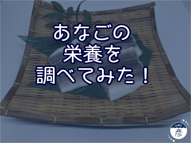 あなごに含まれている栄養を調べてみた！