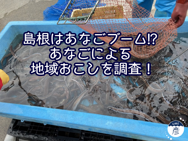 島根はあなごブーム！？あなごによる地域おこしを調査！