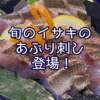 旬のイサキのあぶり刺し、登場！