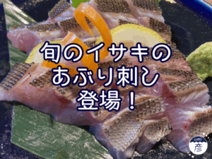 旬のイサキのあぶり刺し、登場！