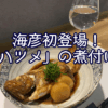 海彦初登場！隠れた名魚「ハツメ」の煮付け、オススメです