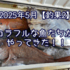 カラフルな魚たちがやってきた！！【2025年5月釣果その２】