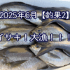 イサキが！大漁！！！【2025年6月の釣果②】