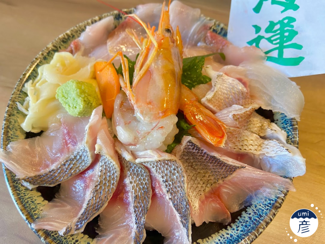 イサキが！大漁！！！【2025年6月の釣果②】