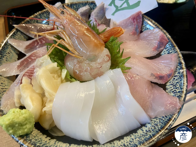 白イカの季節、到来！
