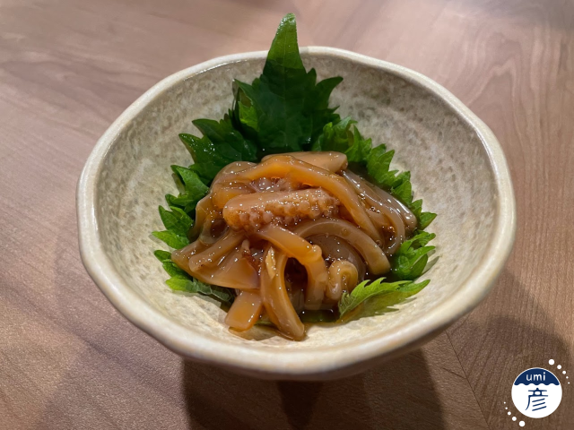 白イカの季節、到来！