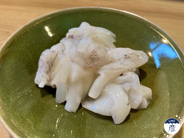 白イカの季節、到来！
