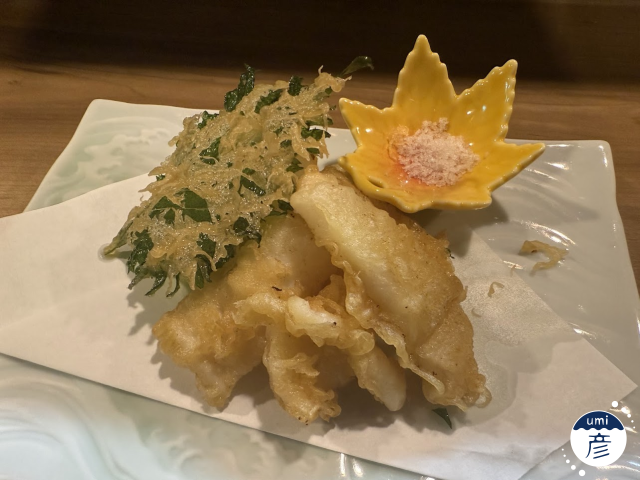 ついに登場！白バイ貝！！