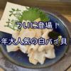 ついに登場！毎年大人気の白バイ貝！！