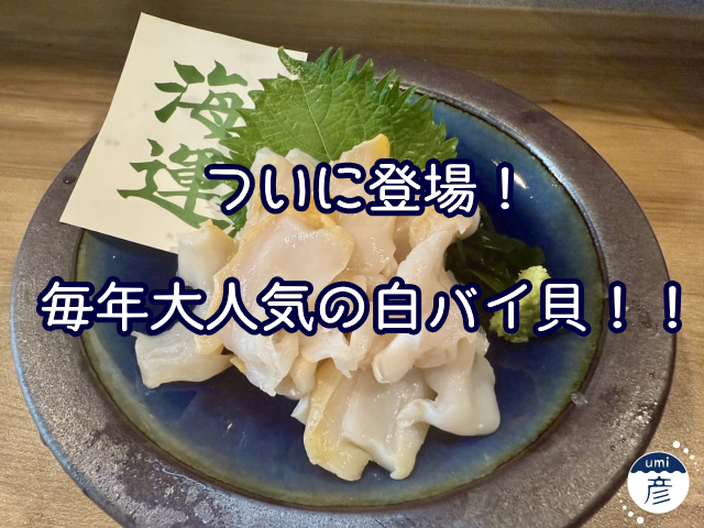 ついに登場！毎年大人気の白バイ貝！！