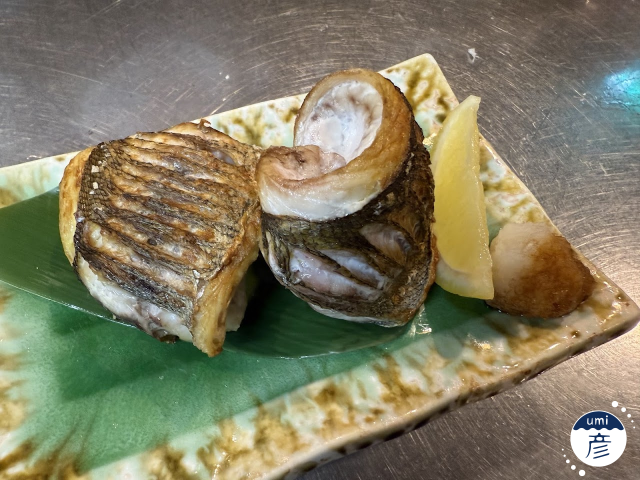 イサキの塩焼き登場！【居酒屋　期間限定メニュー】