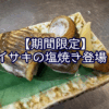 イサキの塩焼き登場！【居酒屋　期間限定メニュー】