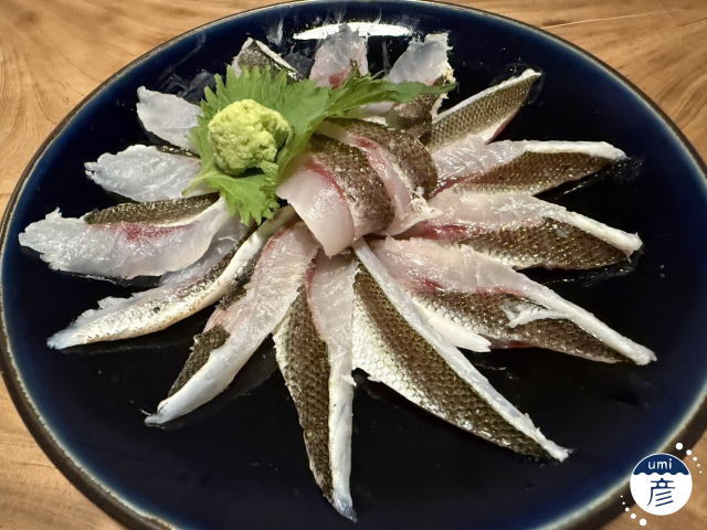 カマス登場！【居酒屋　期間限定メニュー】
