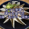 カマス登場！選べる食べ方【刺身・天ぷら・塩焼き】