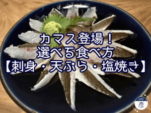 カマス登場！選べる食べ方【刺身・天ぷら・塩焼き】