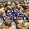 実は大変！白バイ貝の下処理作業に密着！