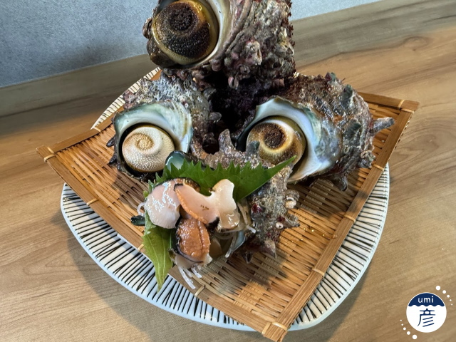 生きたまま入荷！新鮮なサザエの刺身登場！