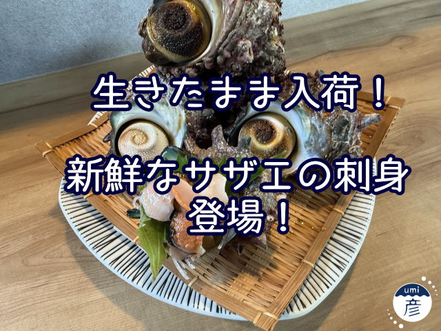 生きたまま入荷！新鮮なサザエの刺身登場！