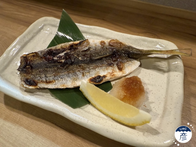 カマス登場！選べる食べ方【刺身・天ぷら・塩焼き】