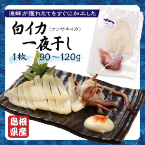 白イカ一夜干しバナー