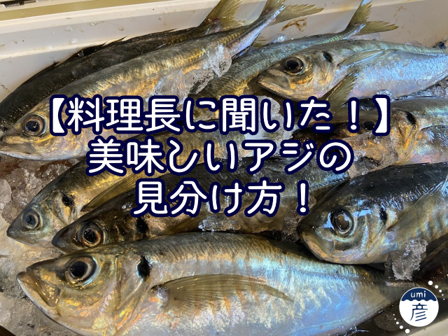 【料理長に聞いた！】美味しいアジの見分け方！