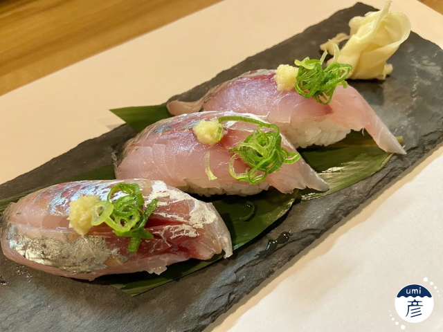 【料理長に聞いた！】美味しいアジの見分け方！