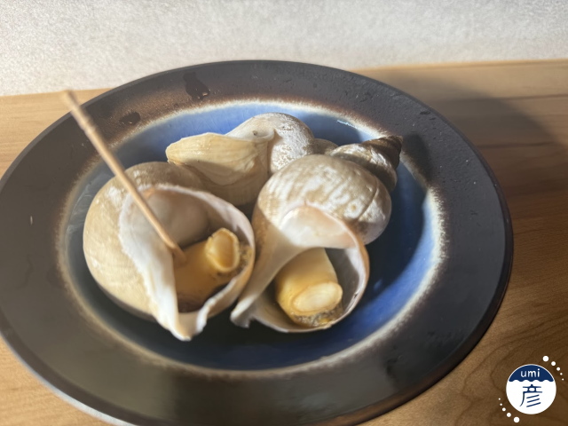 白バイ貝の煮付け、登場！
