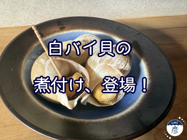 白バイ貝の煮付け、登場！