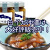 【通販・お取り寄せ】大好評販売中！白イカ沖漬け
