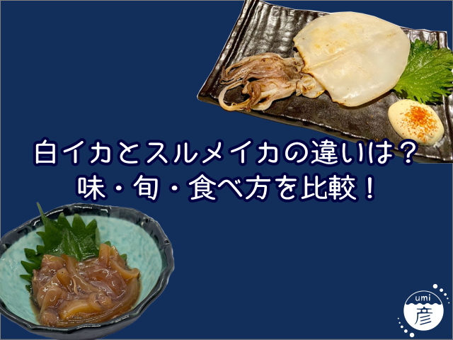 白イカとスルメイカの違いは？味・旬・食べ方を比較！