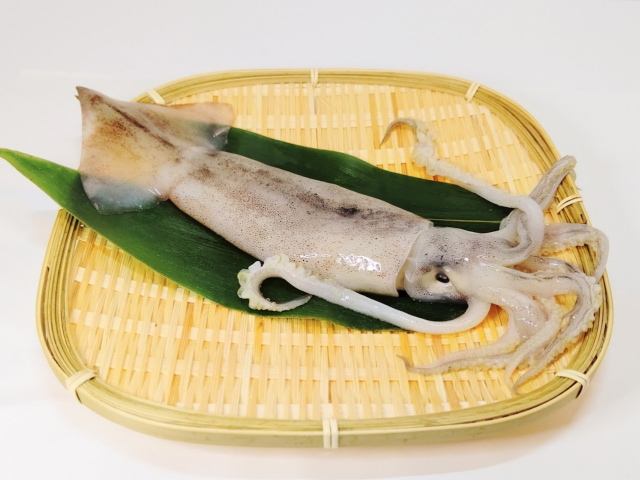 白イカとスルメイカの違いは？味・旬・食べ方を比較！