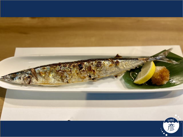 旬の秋刀魚がやってきた！鮮度抜群で刺身でも味わえます！