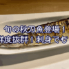 旬の秋刀魚がやってきた！鮮度抜群で刺身でも味わえます！