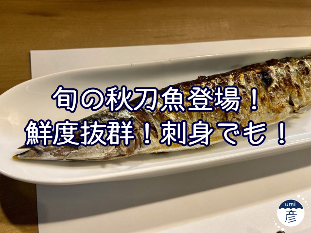 旬の秋刀魚がやってきた！鮮度抜群で刺身でも味わえます！