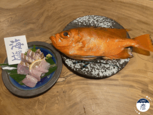 記事初登場！「チカメキントキ」ってどんな魚？