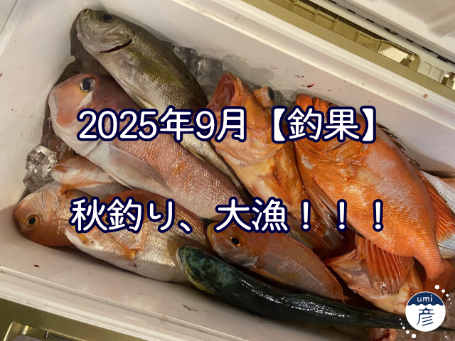 秋釣り、大漁！！！【2025年9月釣果①】