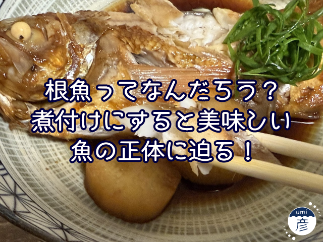 根魚ってなんだろう？煮付けにすると美味しい魚の正体に迫る！