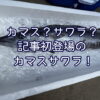 カマス？サワラ？記事初登場のカマスサワラ！
