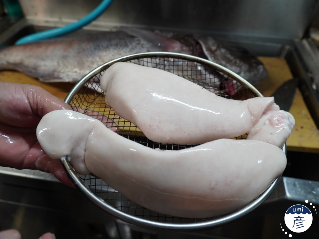 お店に初登場！深海の白身魚、ダルマダイ！（メダイ）