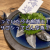 知っていたらお魚博士！？サゴシってどんな魚？