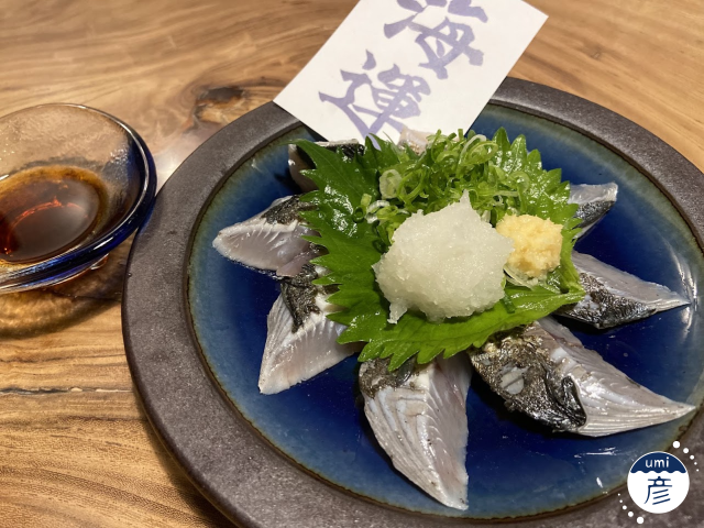 知っていたらお魚博士!?サゴシってどんな魚?