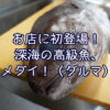 お店に初登場！深海の高級魚、メダイ！（ダルマ）
