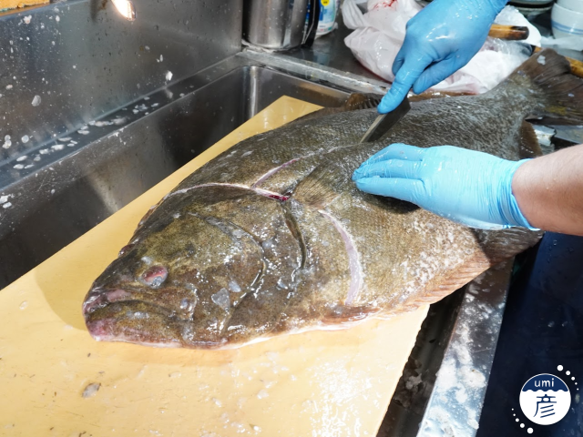 全長80cm！7.5kgの特大ヒラメが登場しました！