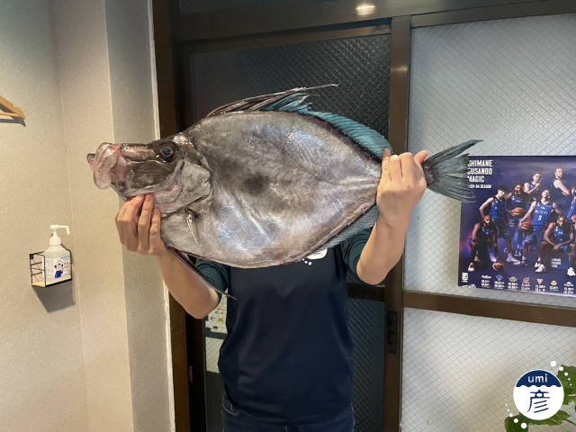 とろける美味しさ！カガミダイの肝を贅沢に串焼きで！