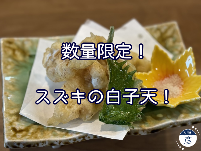 数量限定！スズキの白子天が登場！