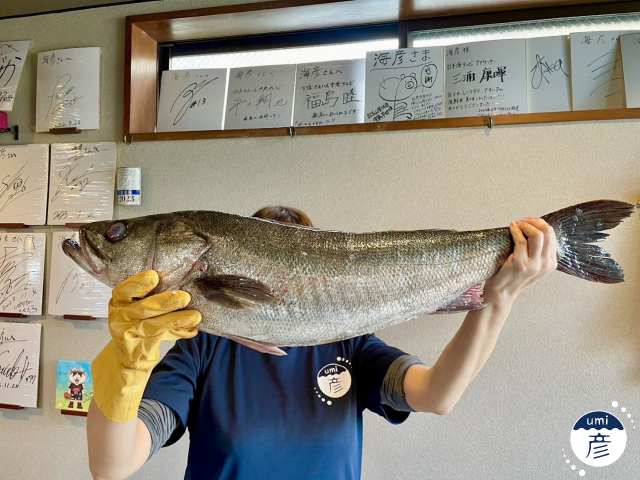 数量限定!スズキの白子天が登場!